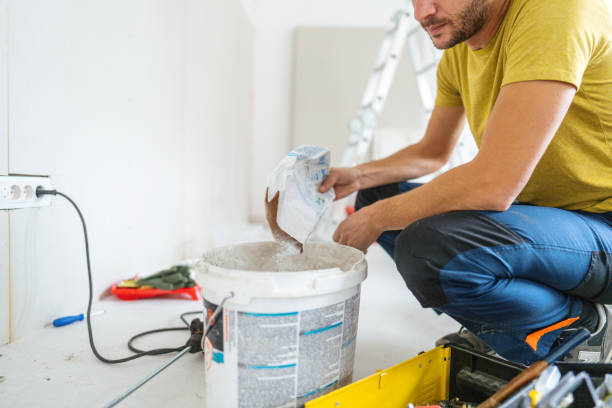 Best Post-Construction Mold Inspection  in Aquebogue, NY