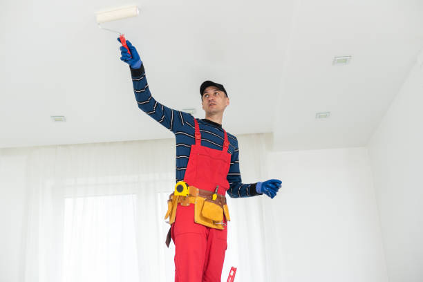 Best Real Estate Mold Inspection  in Aquebogue, NY