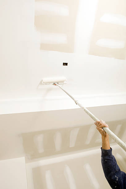 Reliable Aquebogue, NY Mold Removal Solutions