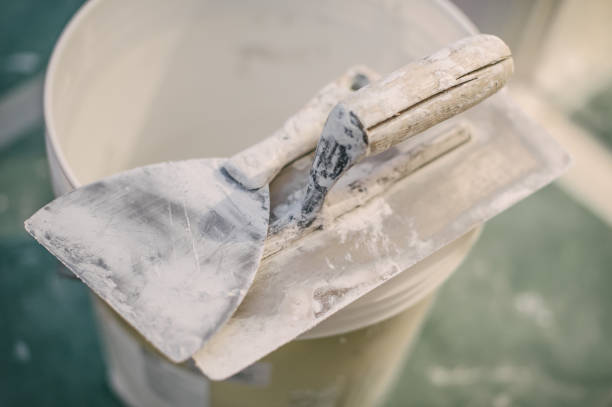 Best Forensic Mold Investigation  in Aquebogue, NY